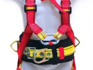 arnes petrolero 1 1.jpg